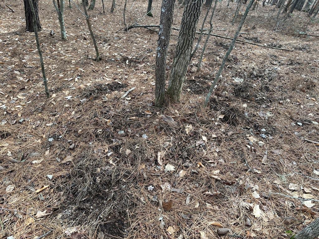 Ultimate Hunting & Recreation Retreat – Staunton Station