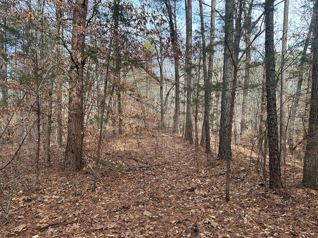 Ultimate Hunting & Recreation Retreat – Staunton Station