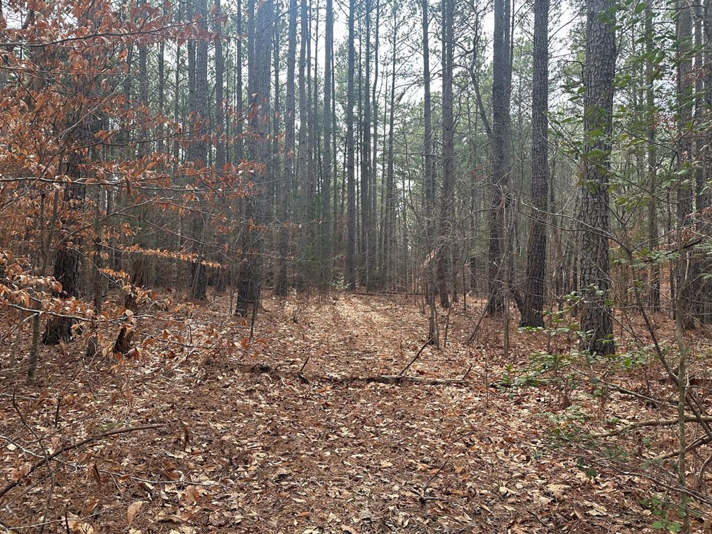 Ultimate Hunting & Recreation Retreat – Staunton Station