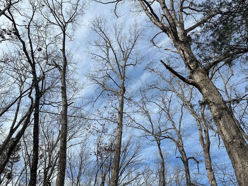 Ultimate Hunting & Recreation Retreat – Staunton Station