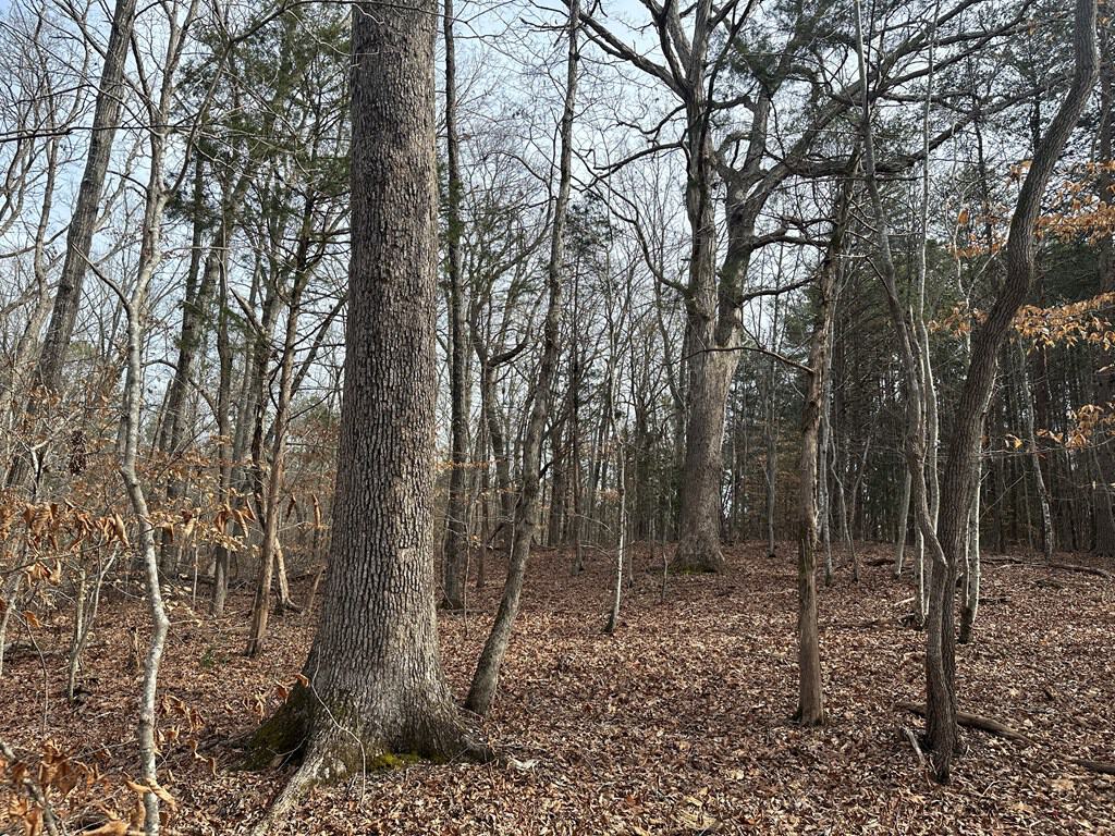 Ultimate Hunting & Recreation Retreat – Staunton Station