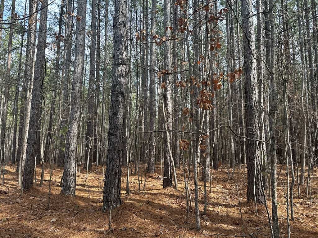 Ultimate Hunting & Recreation Retreat – Staunton Station