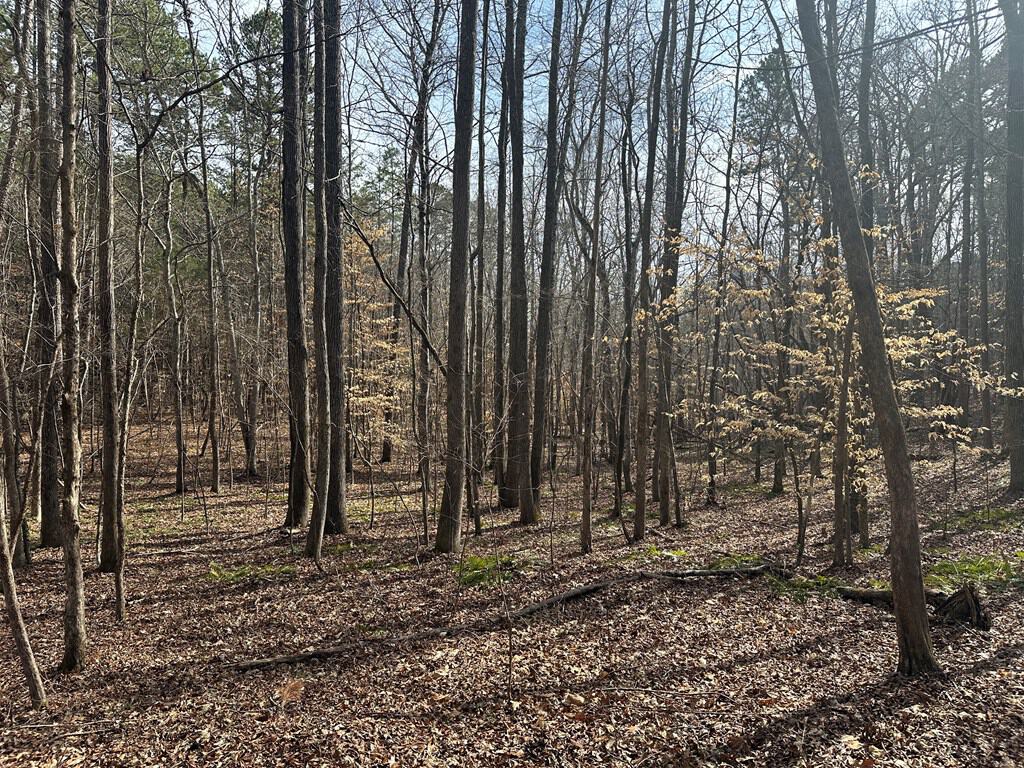 Ultimate Hunting & Recreation Retreat – Staunton Station