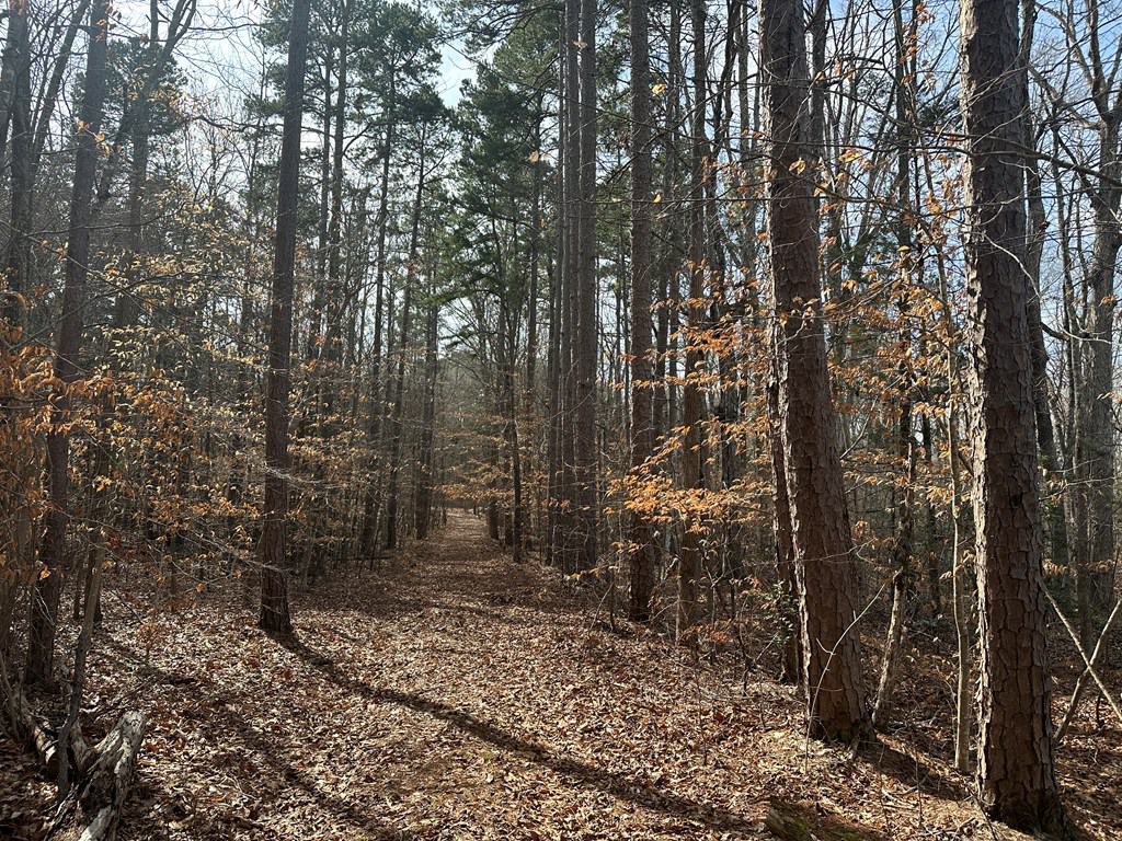 Ultimate Hunting & Recreation Retreat – Staunton Station