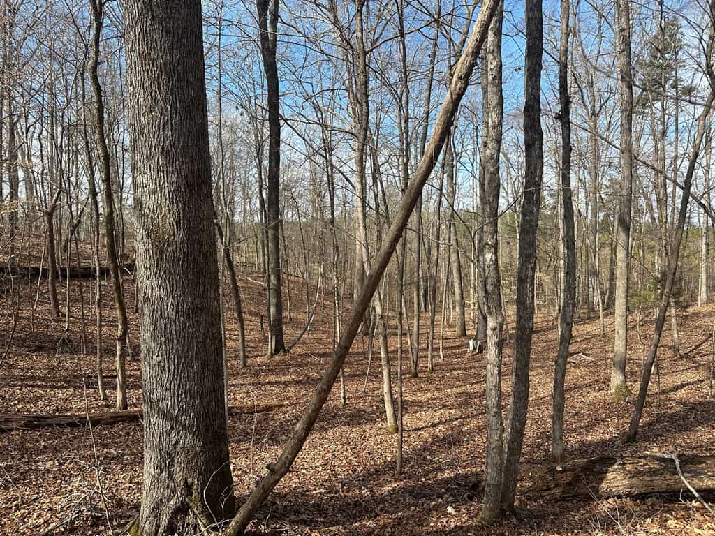 Ultimate Hunting & Recreation Retreat – Staunton Station