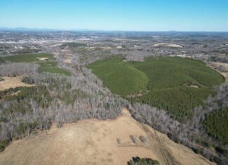 A Hunter’s Paradise: 219 Acres of Outdoor Splendor