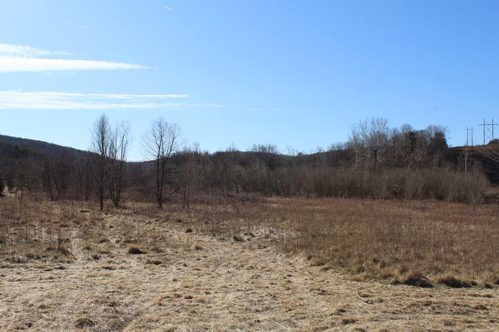 A Hunter’s Paradise: 219 Acres of Outdoor Splendor