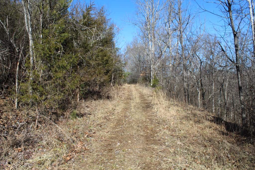 A Hunter’s Paradise: 219 Acres of Outdoor Splendor