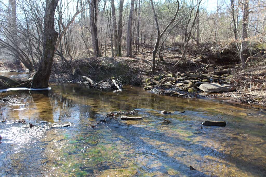 A Hunter’s Paradise: 219 Acres of Outdoor Splendor