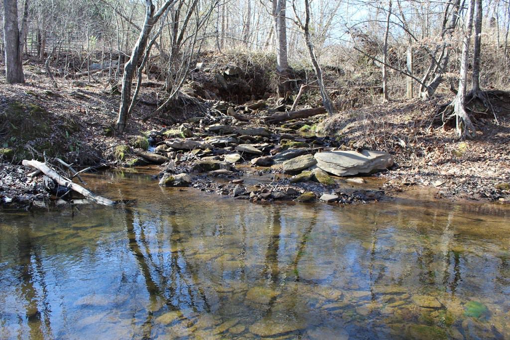 A Hunter’s Paradise: 219 Acres of Outdoor Splendor