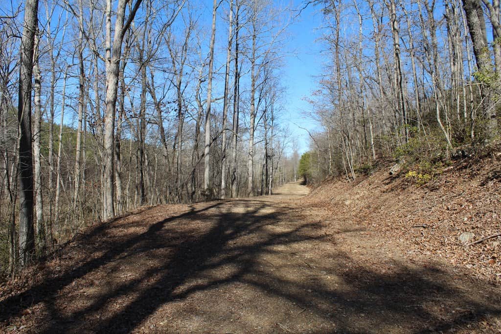 A Hunter’s Paradise: 219 Acres of Outdoor Splendor