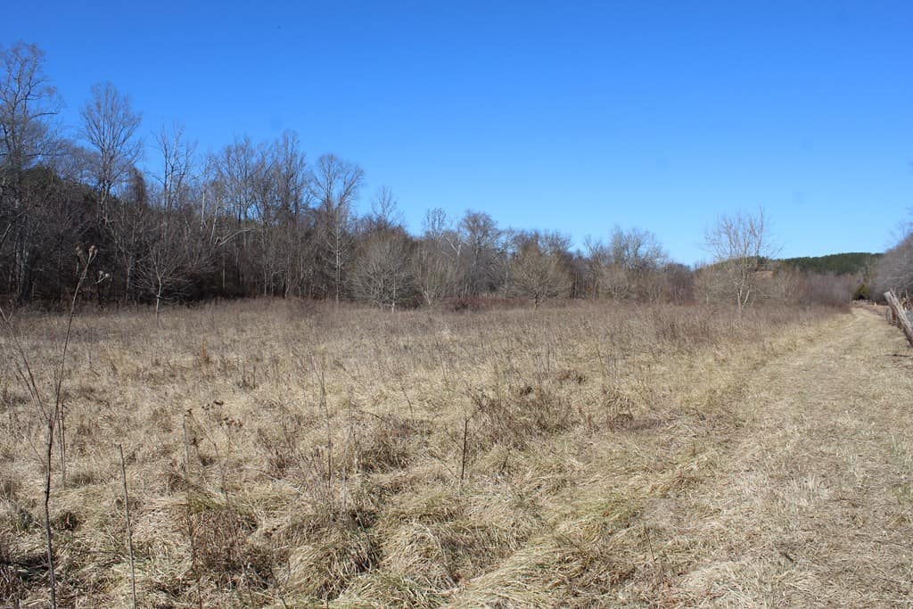 A Hunter’s Paradise: 219 Acres of Outdoor Splendor