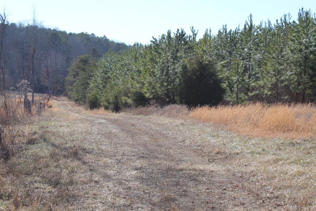 A Hunter’s Paradise: 219 Acres of Outdoor Splendor