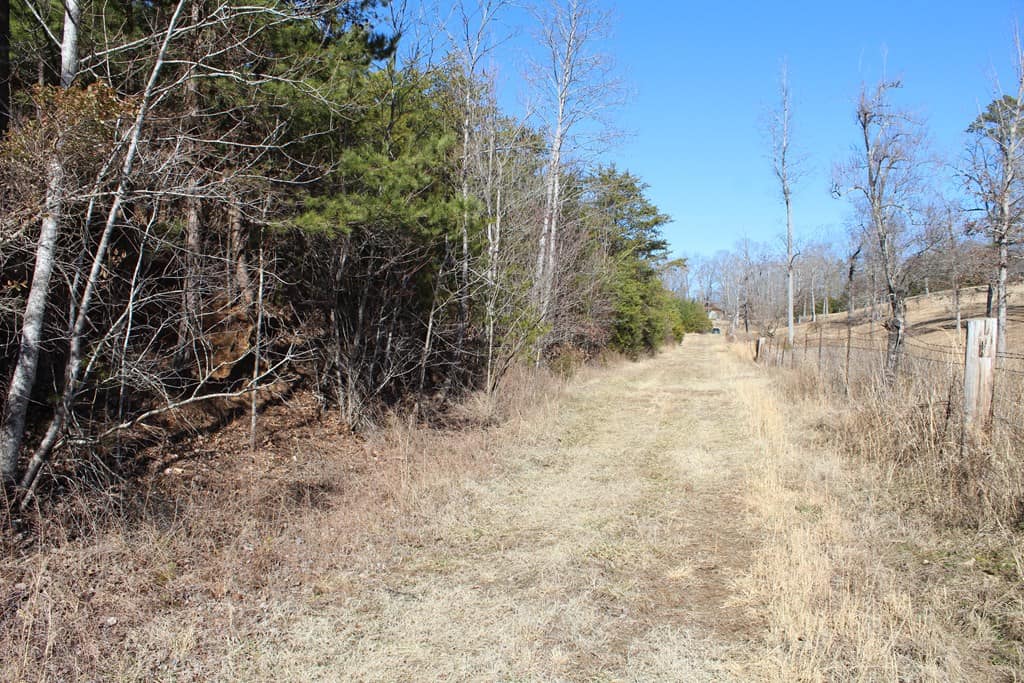 A Hunter’s Paradise: 219 Acres of Outdoor Splendor