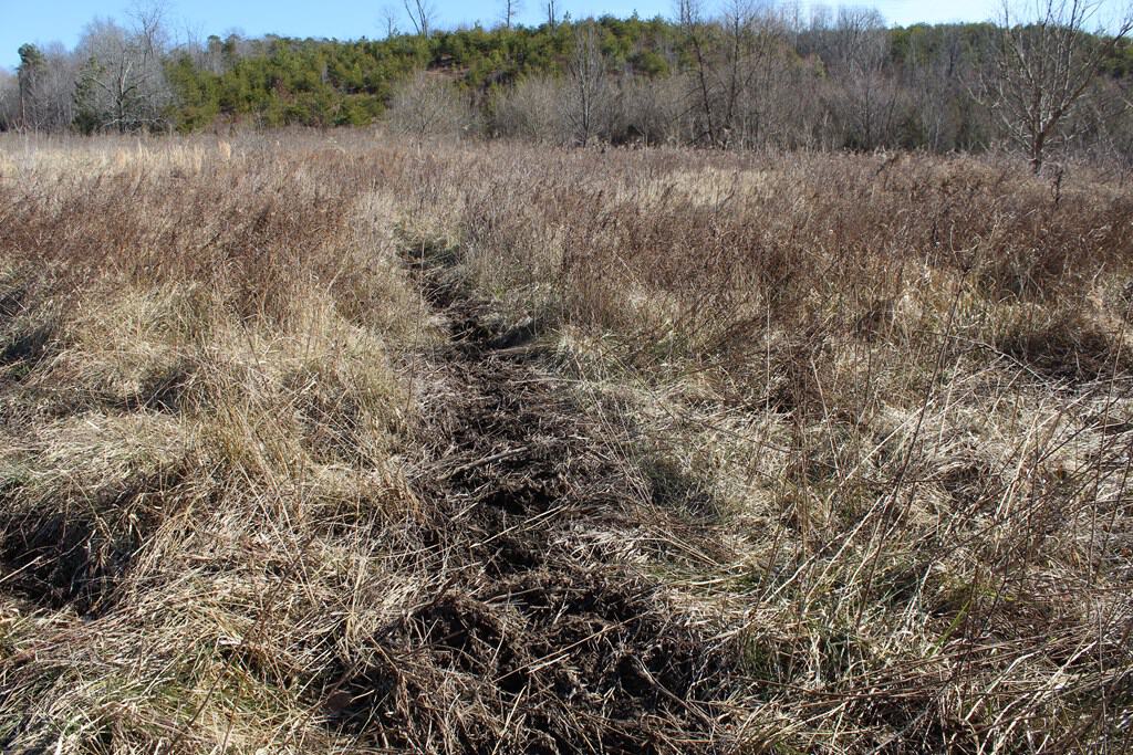 A Hunter’s Paradise: 219 Acres of Outdoor Splendor