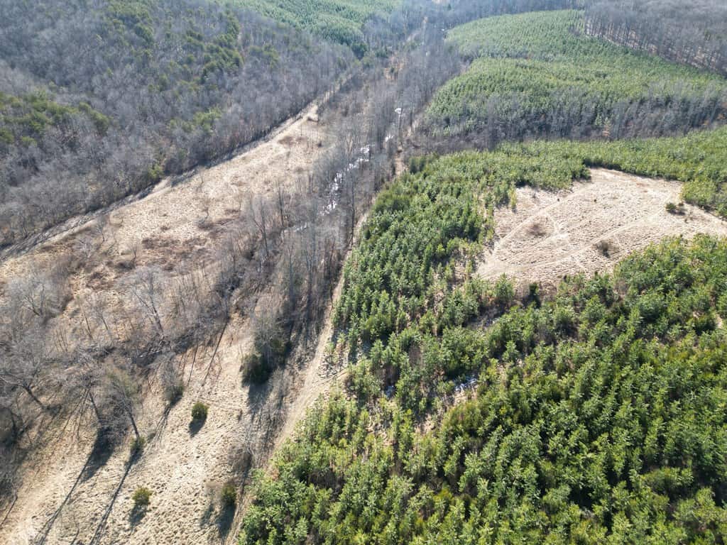 A Hunter’s Paradise: 219 Acres of Outdoor Splendor