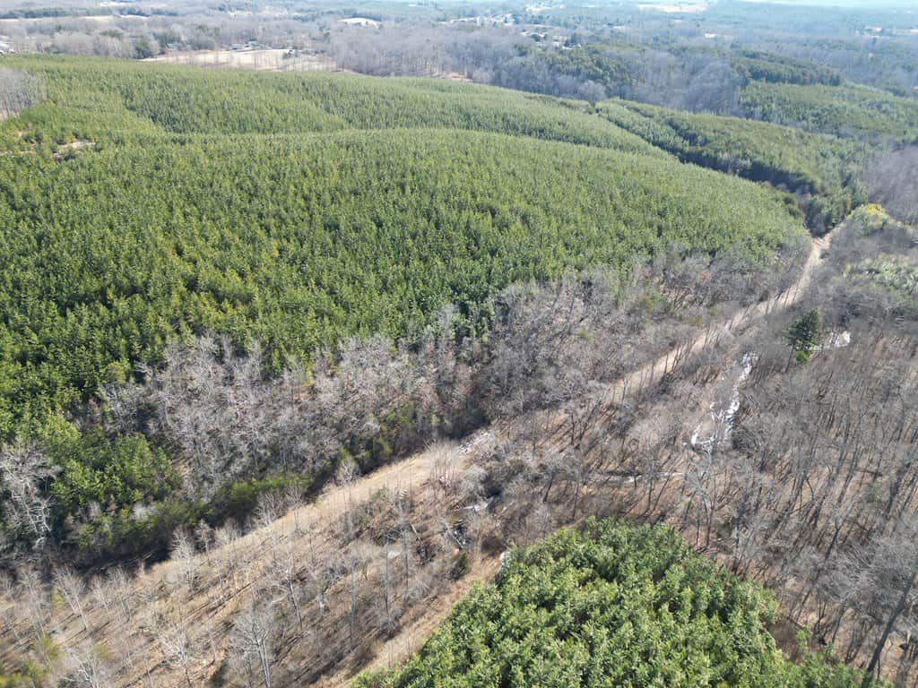 A Hunter’s Paradise: 219 Acres of Outdoor Splendor