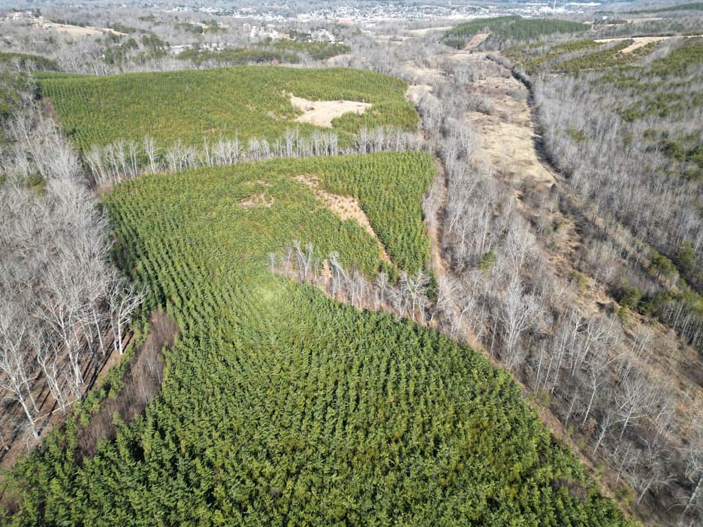 A Hunter’s Paradise: 219 Acres of Outdoor Splendor