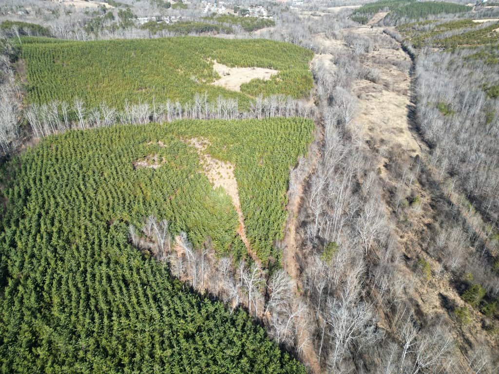 A Hunter’s Paradise: 219 Acres of Outdoor Splendor