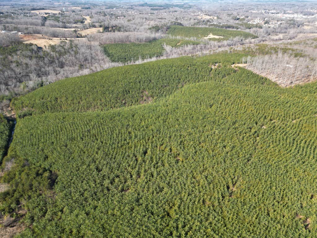 A Hunter’s Paradise: 219 Acres of Outdoor Splendor