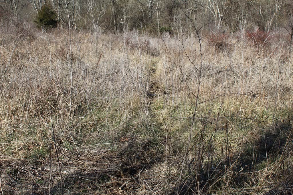 A Hunter’s Paradise: 219 Acres of Outdoor Splendor