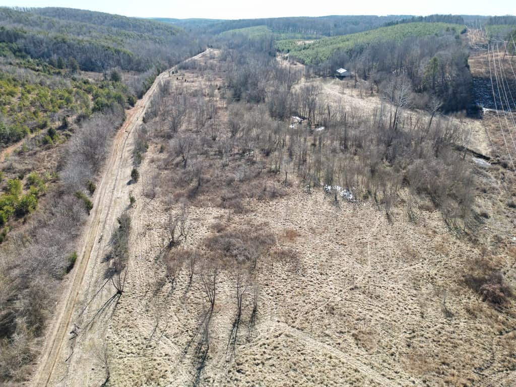 A Hunter’s Paradise: 219 Acres of Outdoor Splendor