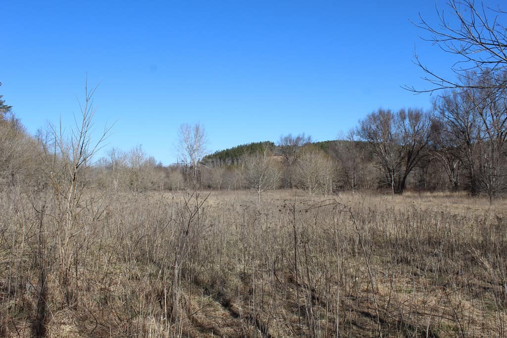 A Hunter’s Paradise: 219 Acres of Outdoor Splendor