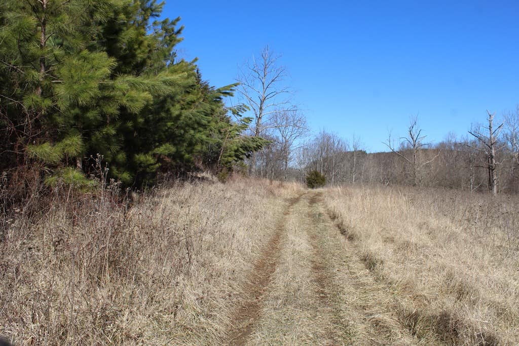A Hunter’s Paradise: 219 Acres of Outdoor Splendor