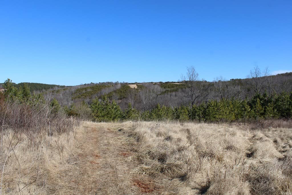 A Hunter’s Paradise: 219 Acres of Outdoor Splendor