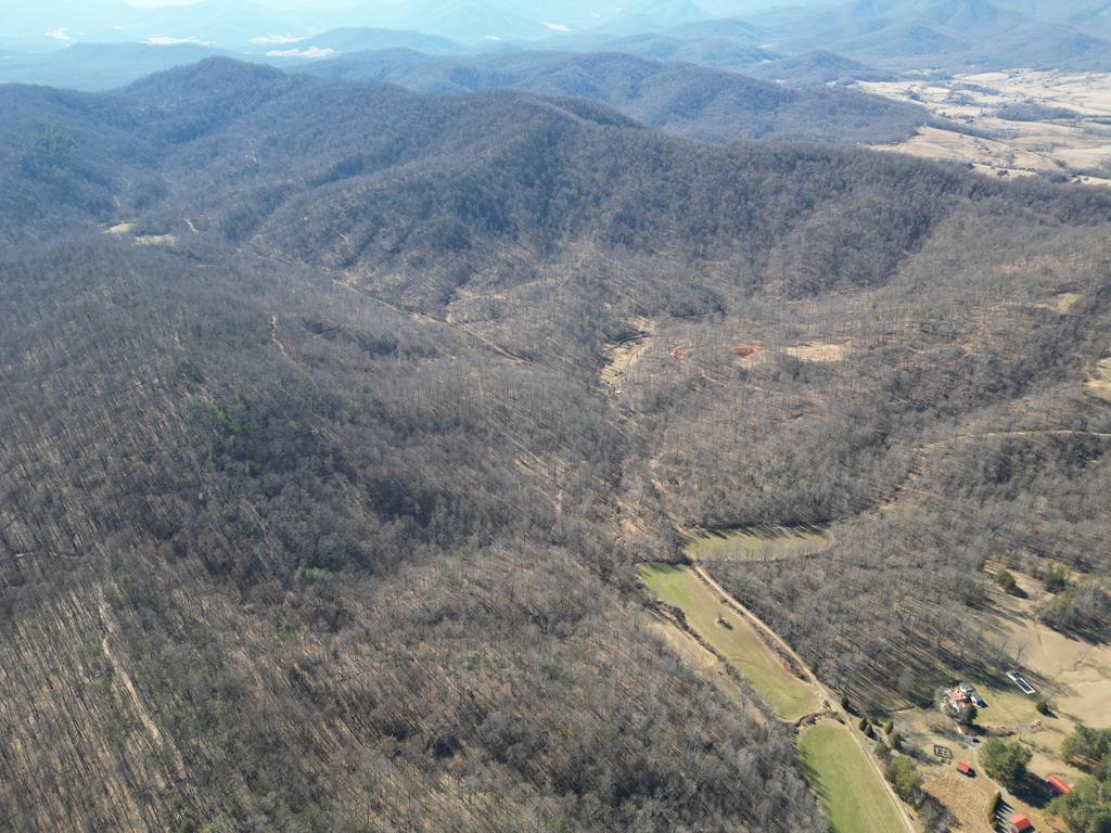 Stoney Mountain Farm: A Hunter’s Paradise in Madison County, VA