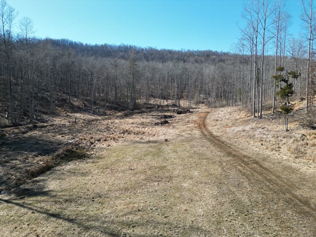 Stoney Mountain Farm: A Hunter’s Paradise in Madison County, VA