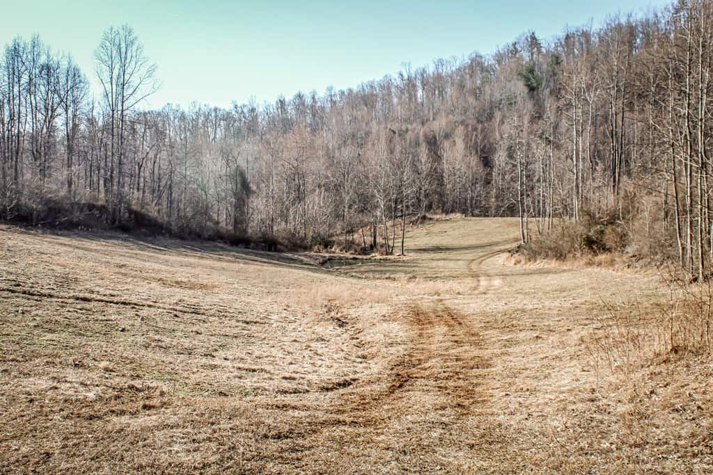 Stoney Mountain Farm: A Hunter’s Paradise in Madison County, VA