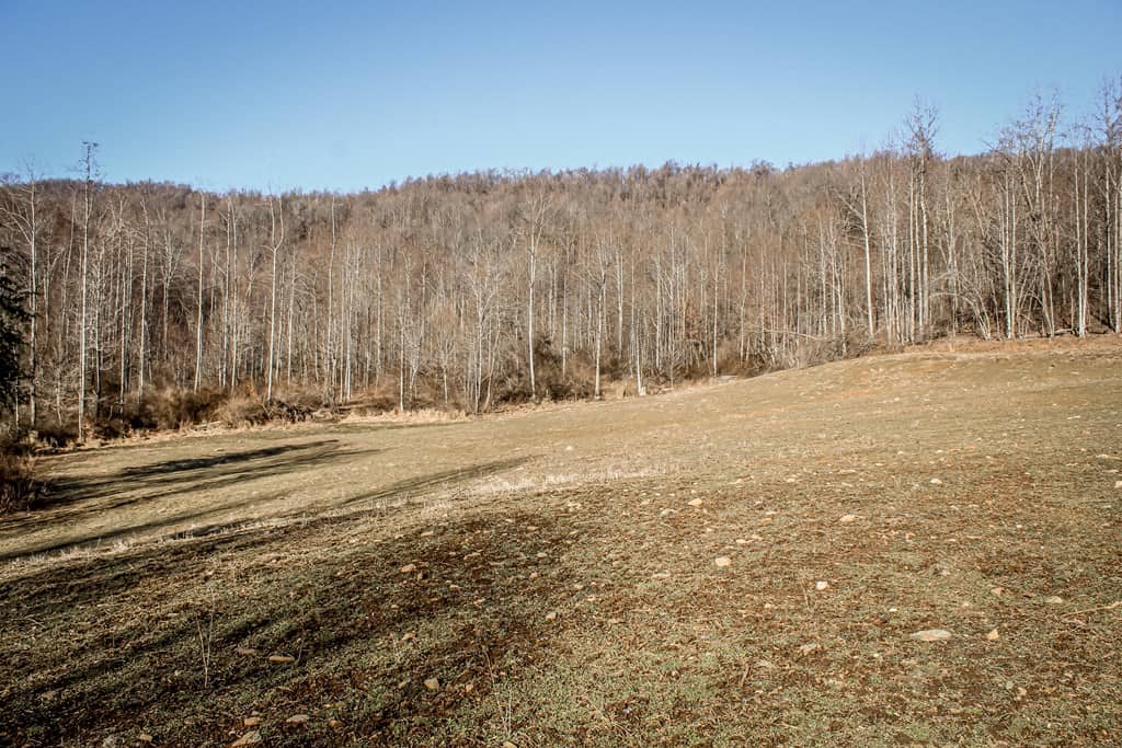 Stoney Mountain Farm: A Hunter’s Paradise in Madison County, VA