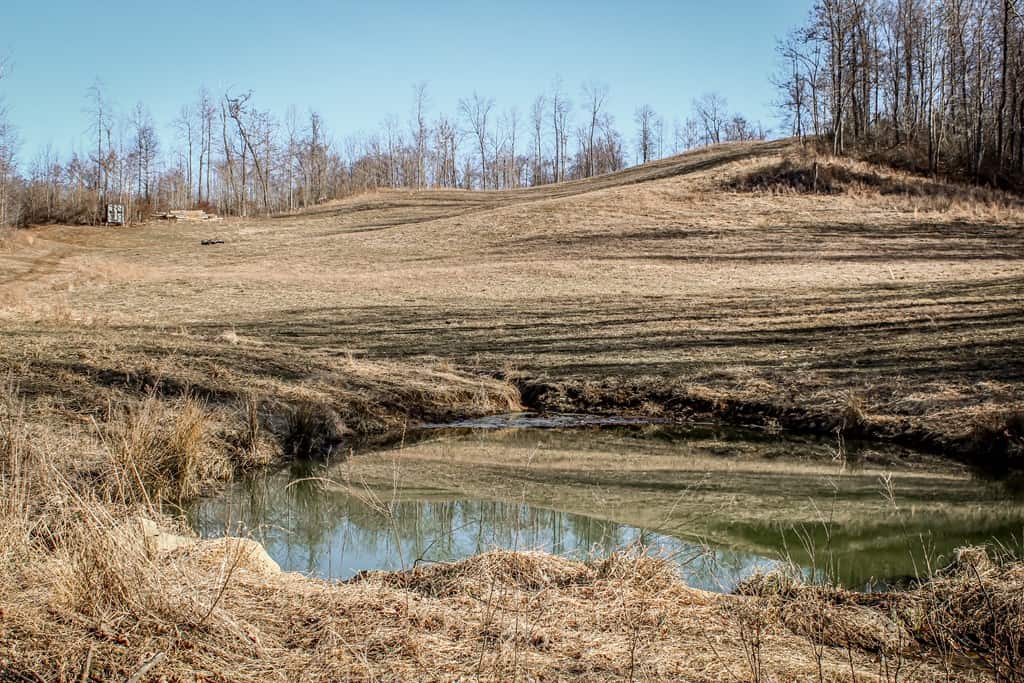 Stoney Mountain Farm: A Hunter’s Paradise in Madison County, VA