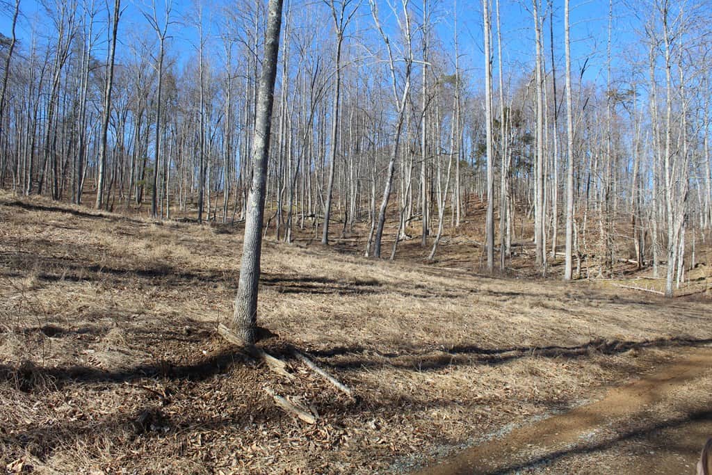 Stoney Mountain Farm: A Hunter’s Paradise in Madison County, VA