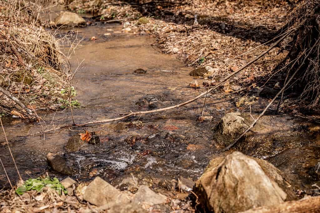 Stoney Mountain Farm: A Hunter’s Paradise in Madison County, VA
