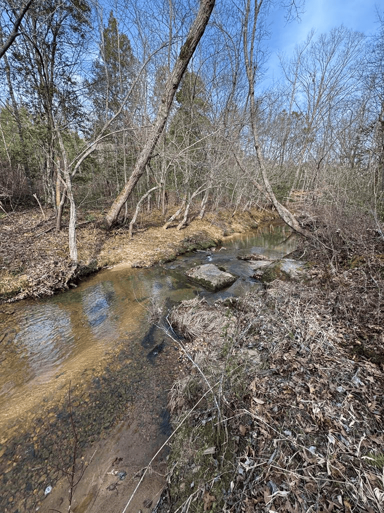 20.62 Acres of Prime Hunting & Outdoor Adventure in Mecklenburg County, VA