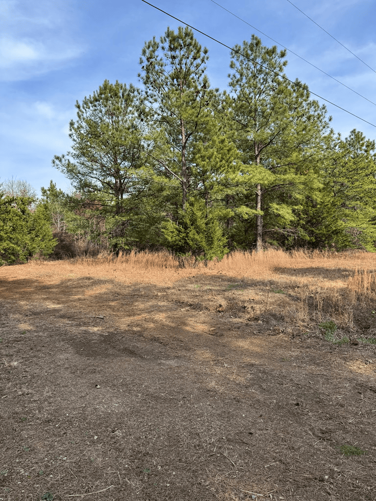 20.62 Acres of Prime Hunting & Outdoor Adventure in Mecklenburg County, VA
