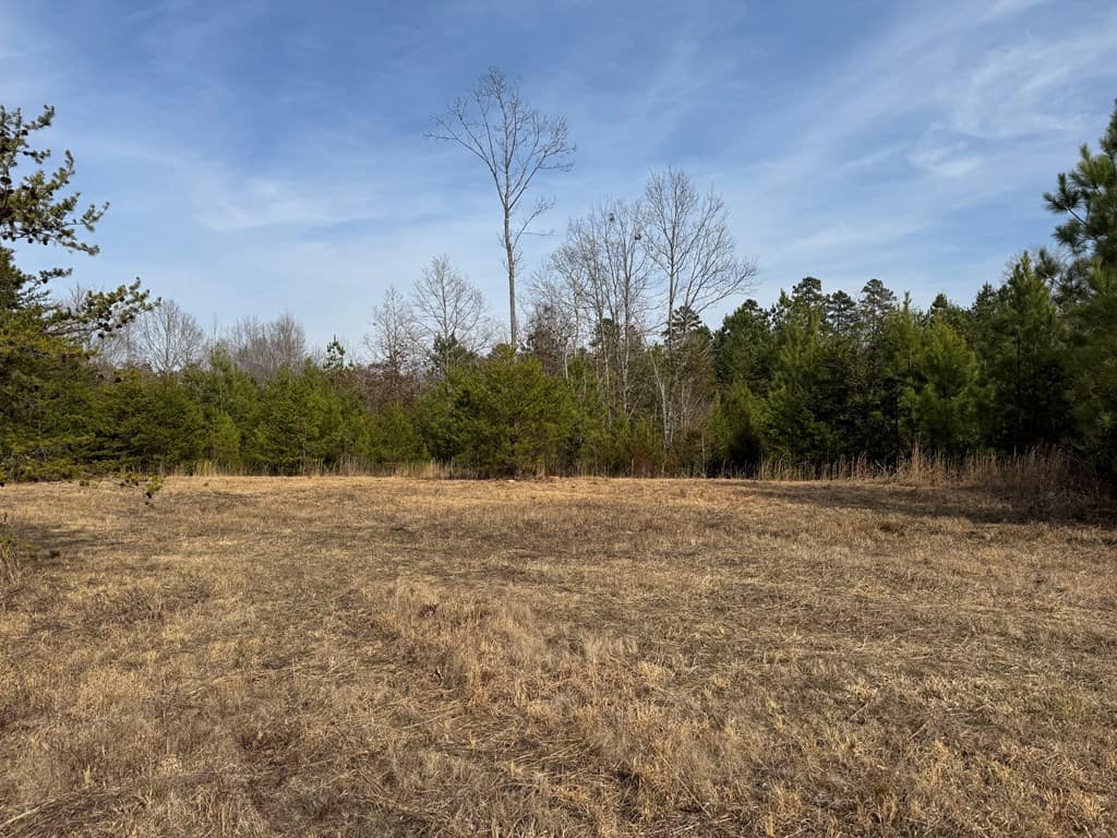 20.62 Acres of Prime Hunting & Outdoor Adventure in Mecklenburg County, VA