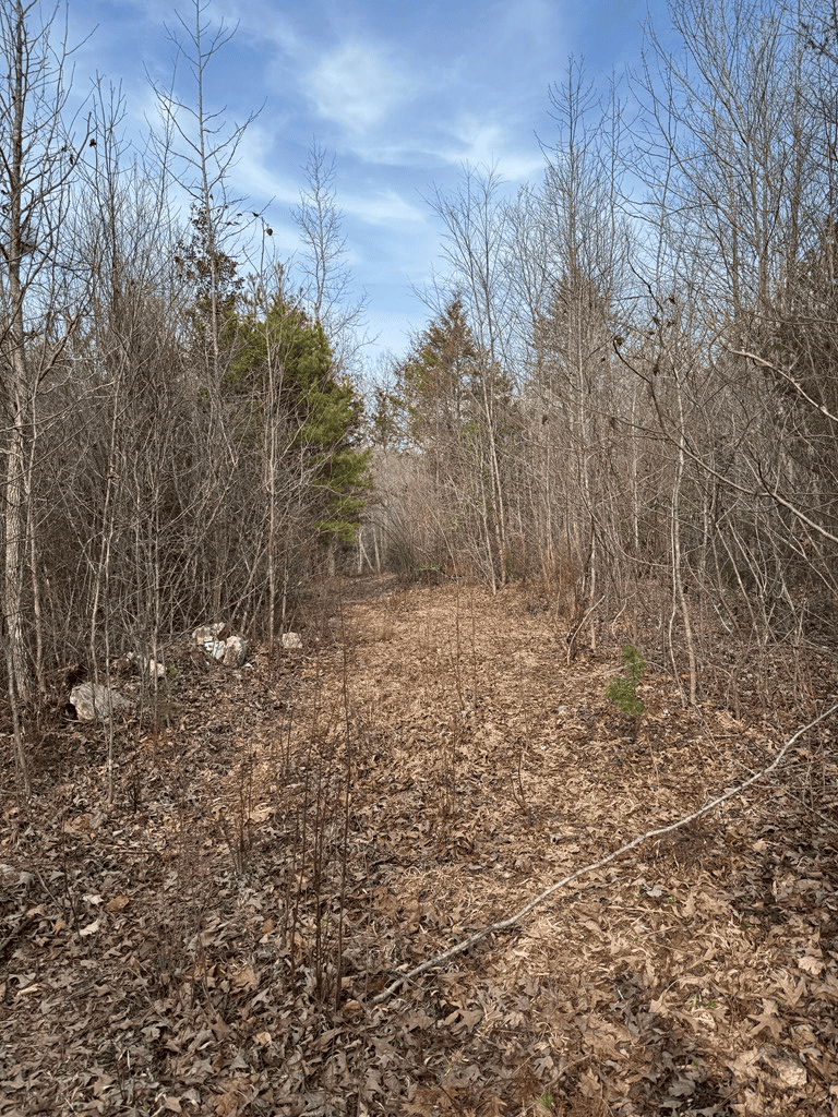 20.62 Acres of Prime Hunting & Outdoor Adventure in Mecklenburg County, VA