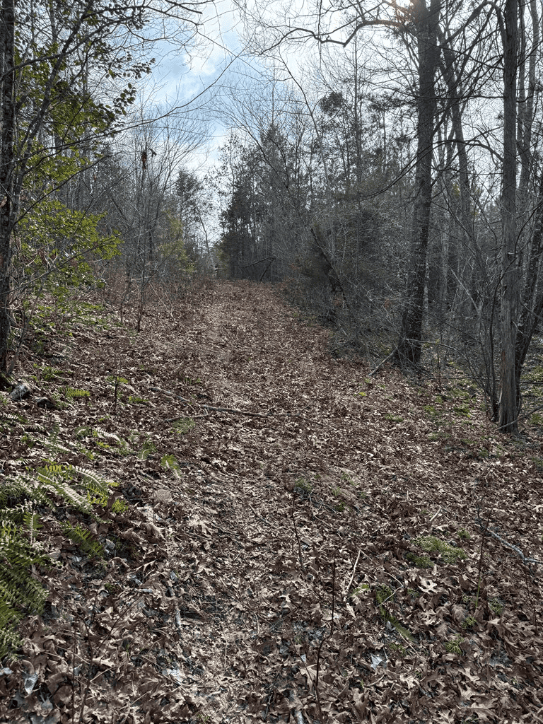 20.62 Acres of Prime Hunting & Outdoor Adventure in Mecklenburg County, VA