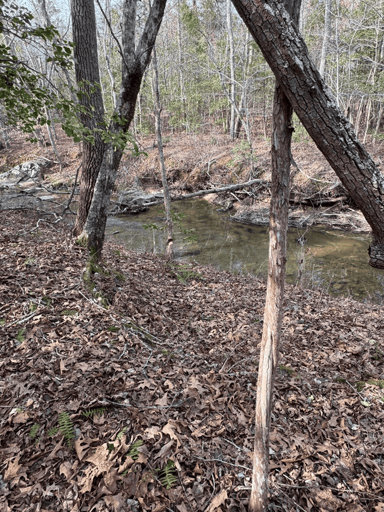 20.62 Acres of Prime Hunting & Outdoor Adventure in Mecklenburg County, VA