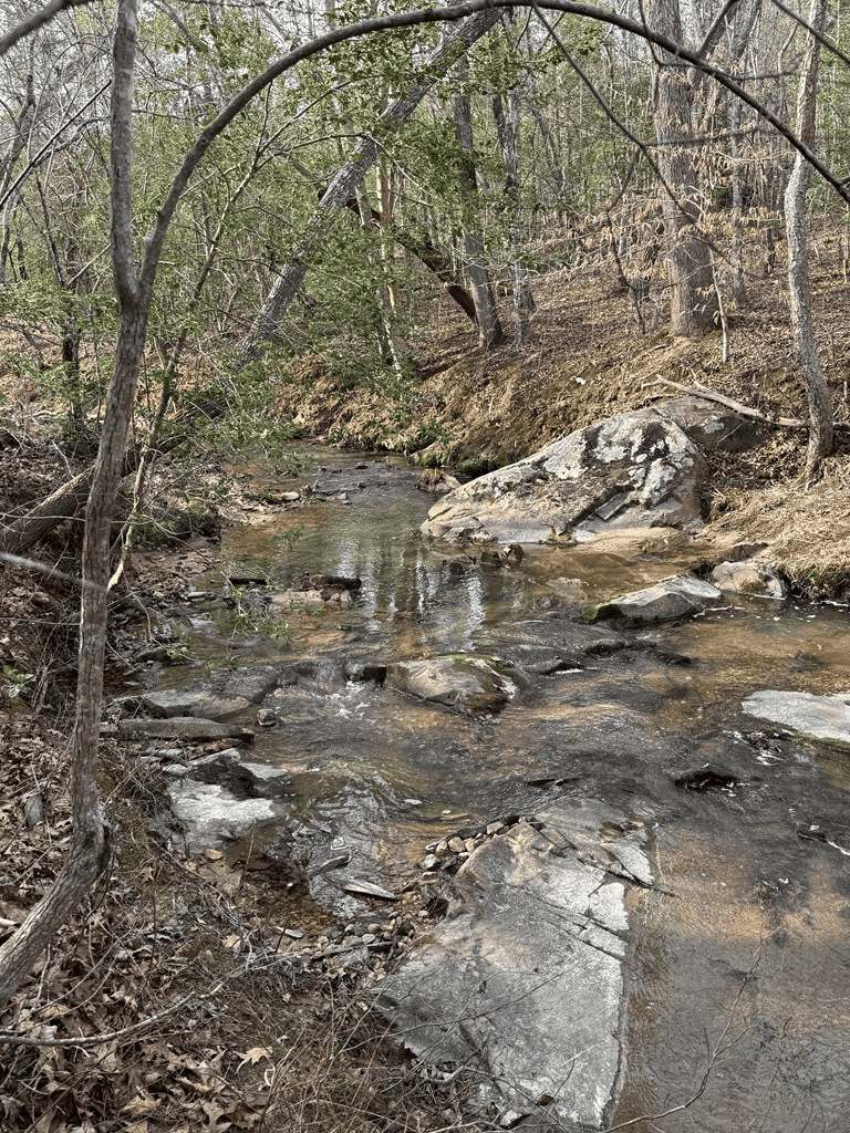 20.62 Acres of Prime Hunting & Outdoor Adventure in Mecklenburg County, VA