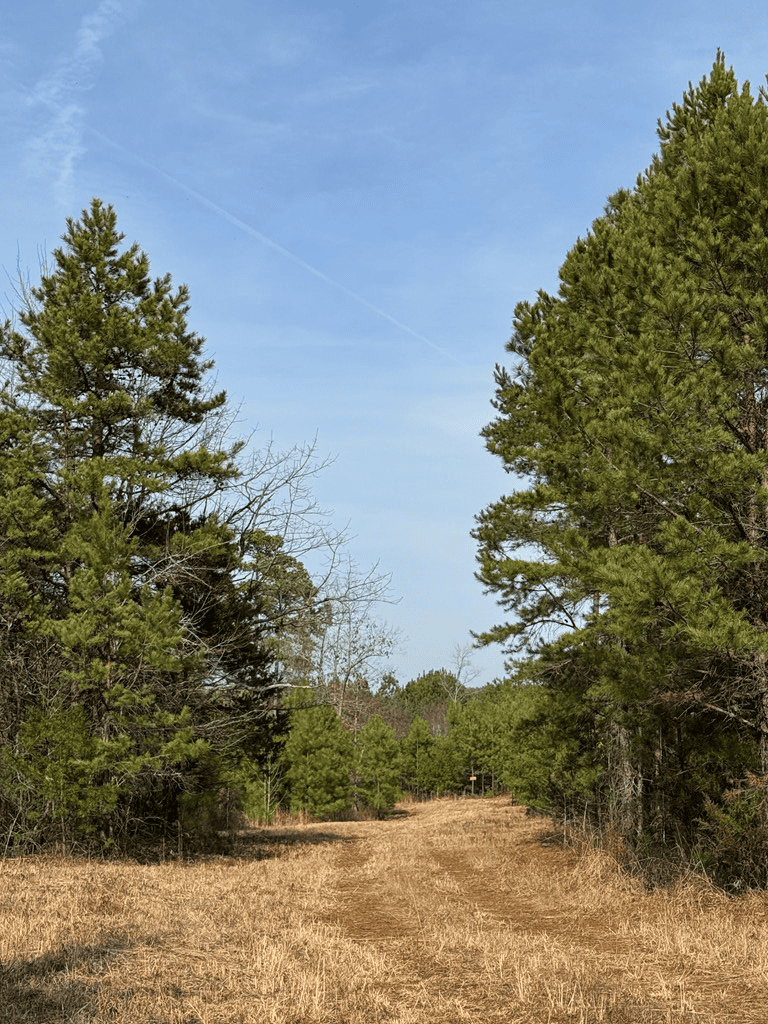 20.62 Acres of Prime Hunting & Outdoor Adventure in Mecklenburg County, VA