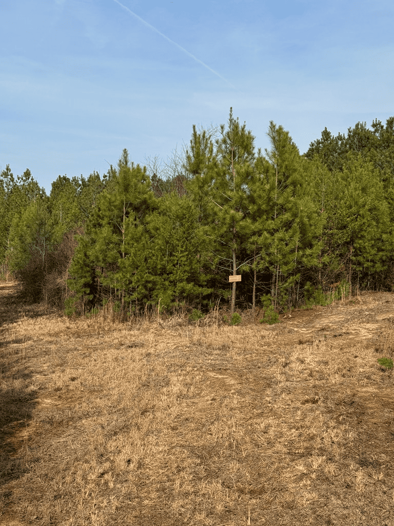 20.62 Acres of Prime Hunting & Outdoor Adventure in Mecklenburg County, VA