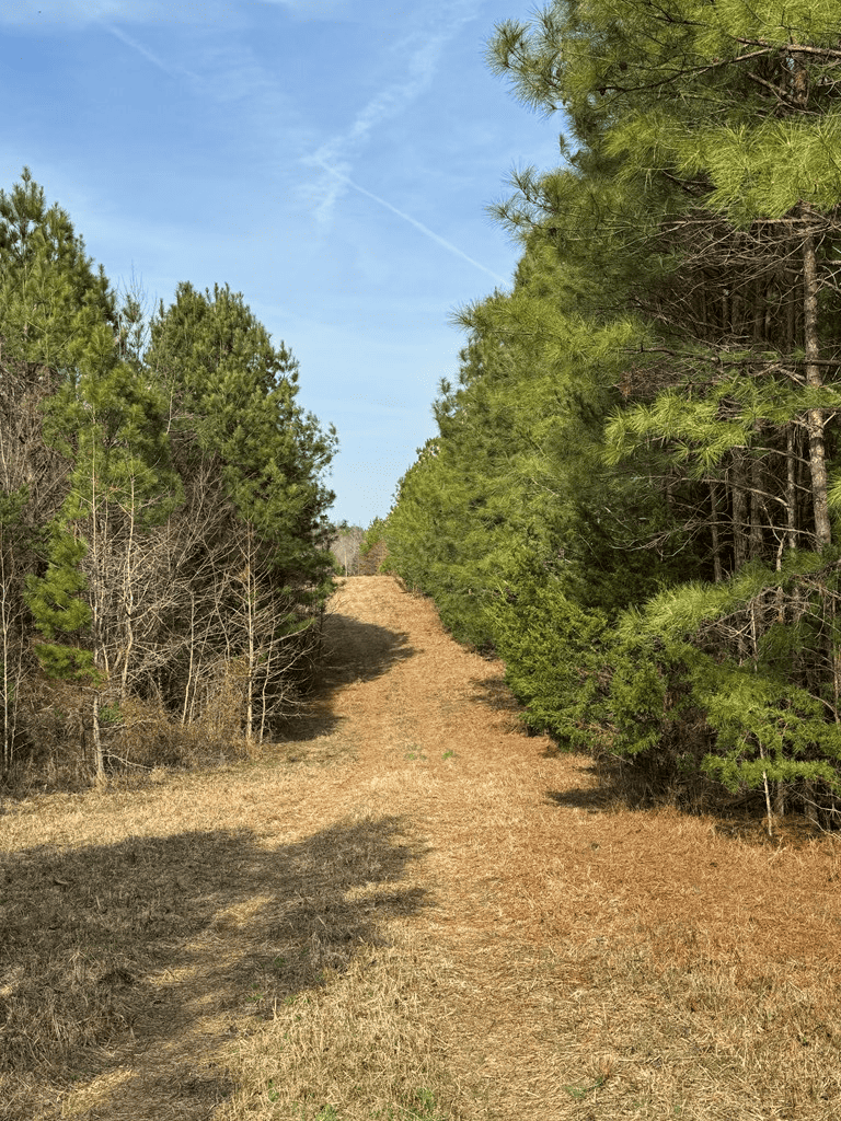 20.62 Acres of Prime Hunting & Outdoor Adventure in Mecklenburg County, VA