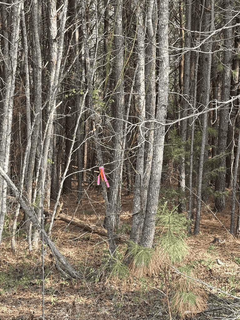 20.62 Acres of Prime Hunting & Outdoor Adventure in Mecklenburg County, VA