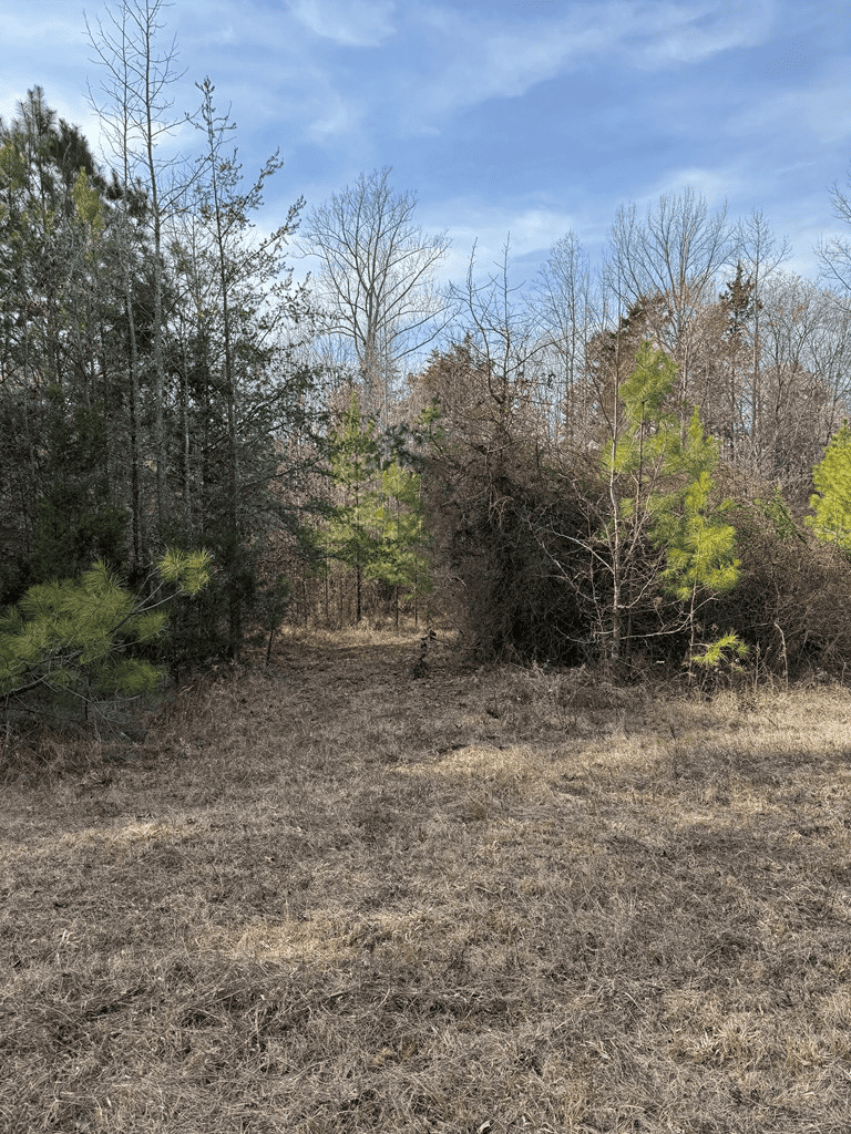 20.62 Acres of Prime Hunting & Outdoor Adventure in Mecklenburg County, VA