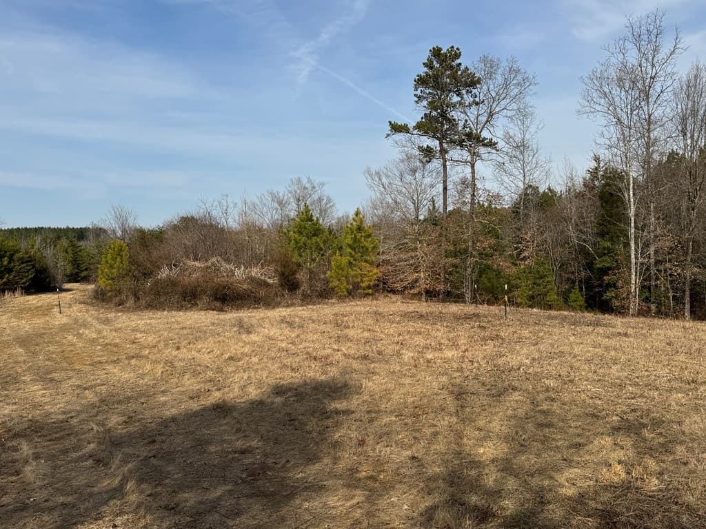 20.62 Acres of Prime Hunting & Outdoor Adventure in Mecklenburg County, VA