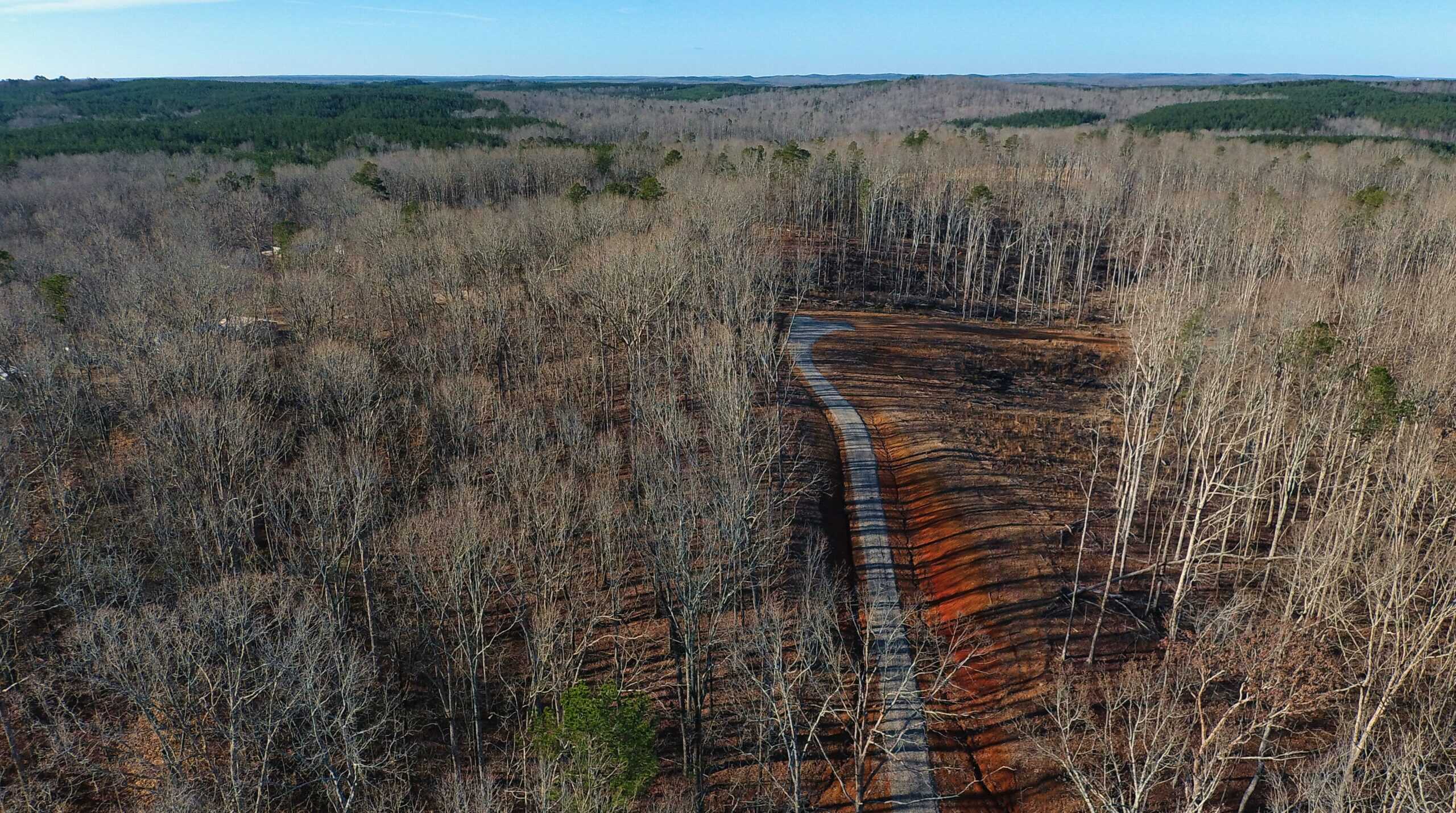 HUNTING PROPERTY FOR SALE IN TN, ROCK BOTTOM CREEKS & 5 FIELDS